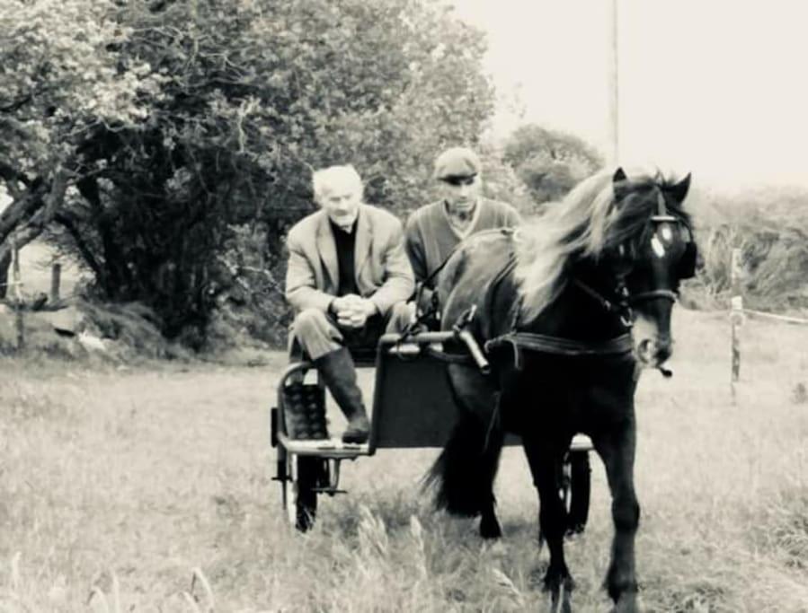 -Going Back In Time- 200 Year Old Farmhouse Creegh Bagian luar foto