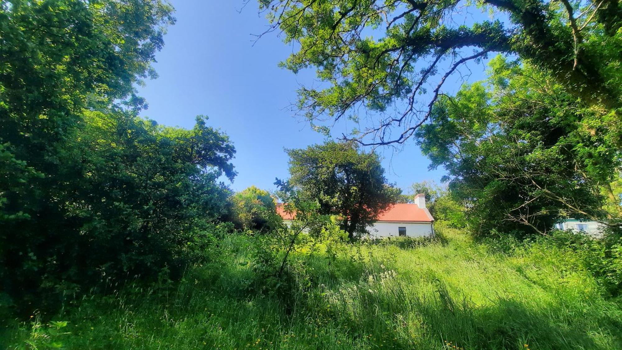 -Going Back In Time- 200 Year Old Farmhouse Creegh Bagian luar foto